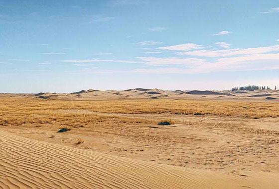 千平房屋仅补三百余万？法院一纸判决揭穿拆迁补偿猫腻！